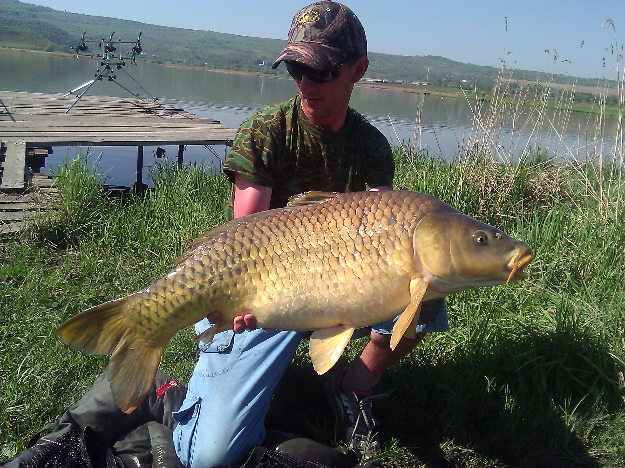 Crap - WP_000290.jpg